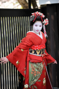 Beautiful geisha girl, Japan ---  Kyoto, Japan, April 10, 2009:  A real geisha girl of Kyoto, Japan. ---  A geisha girl on a street in Kyoto, Japan, pausing to be admired.